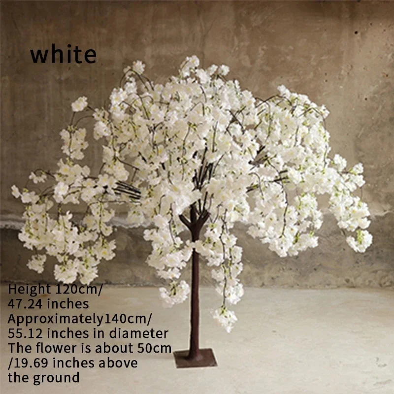 Image du produit 13