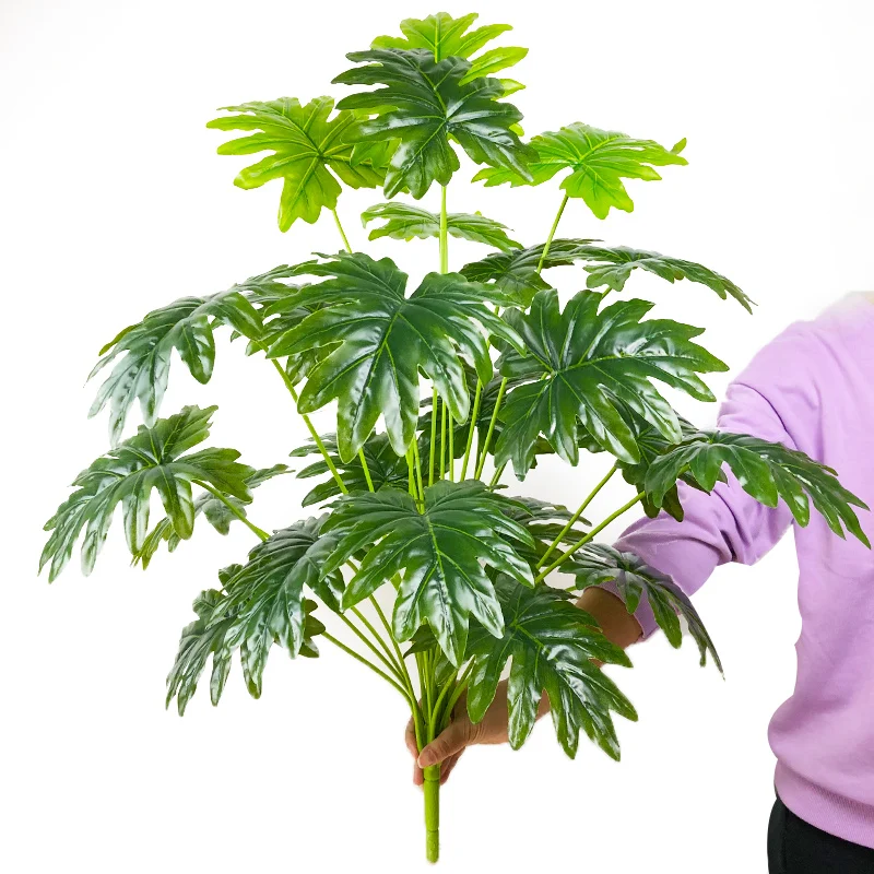 Image du produit 11