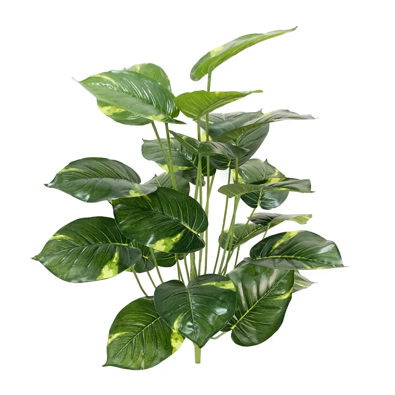 Image du produit 17