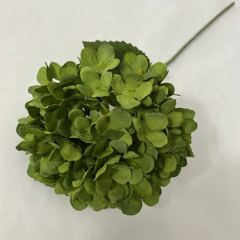 Image du produit 19