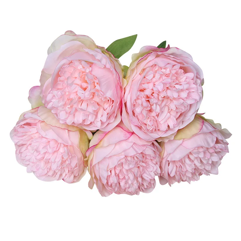 Image du produit 12