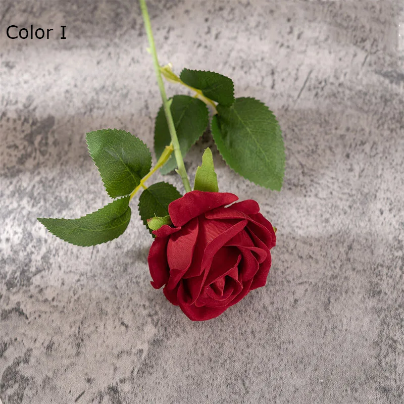 Image du produit 11