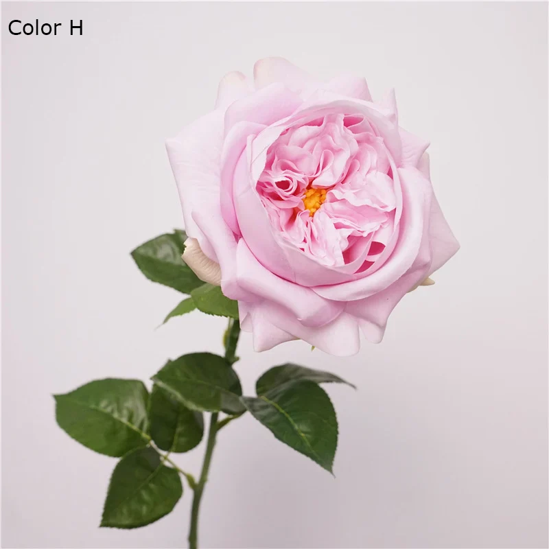 Image du produit 14