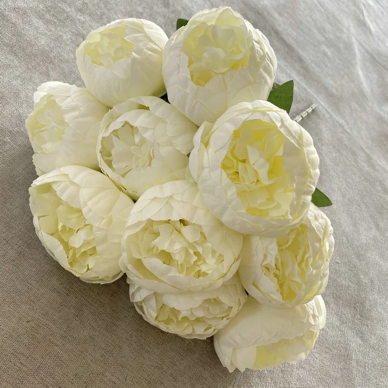 Image du produit 15