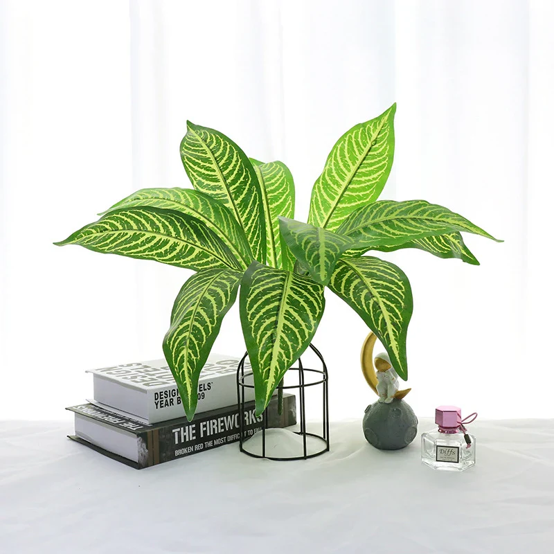 Image du produit 11