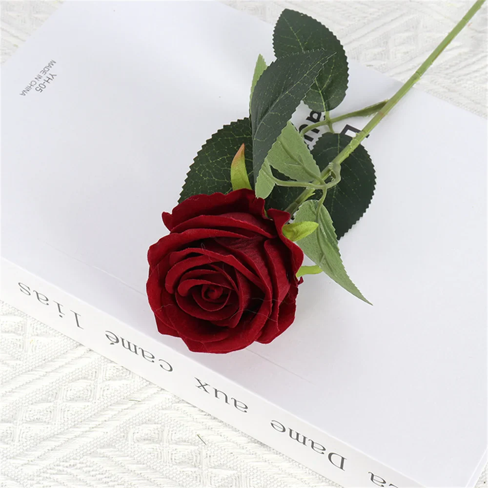 Image du produit 12