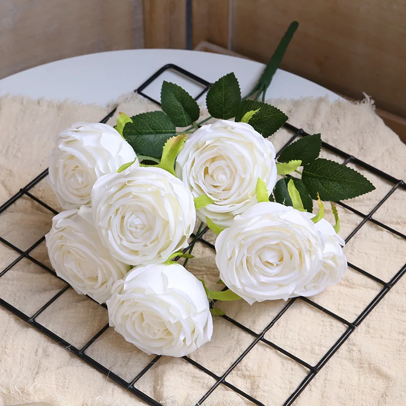 Image du produit 12