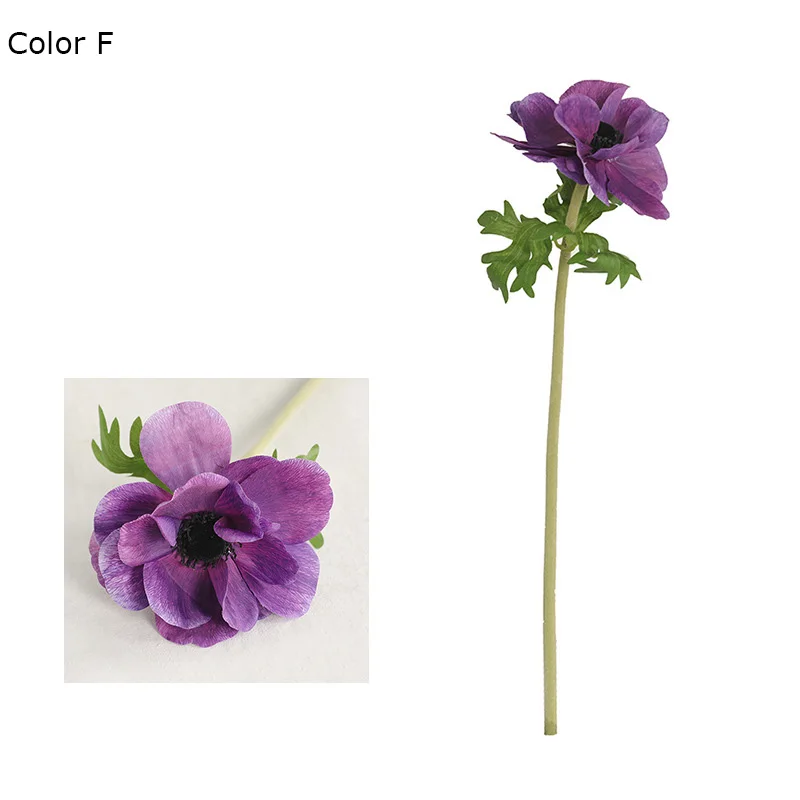 Image du produit 11