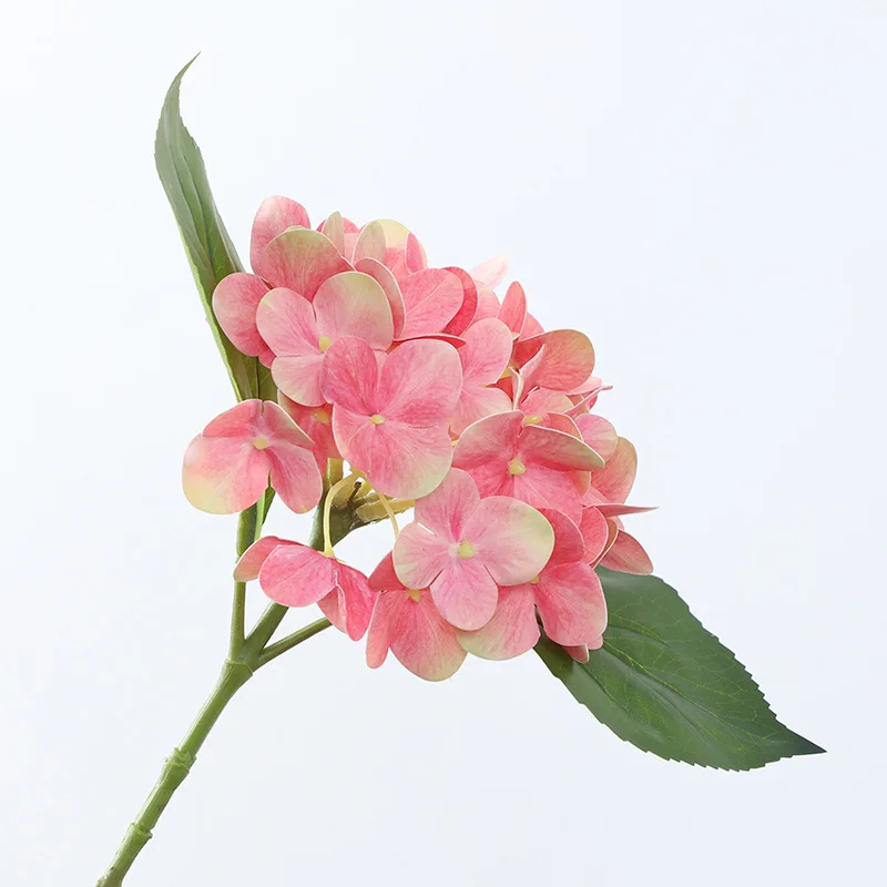 Image du produit 14