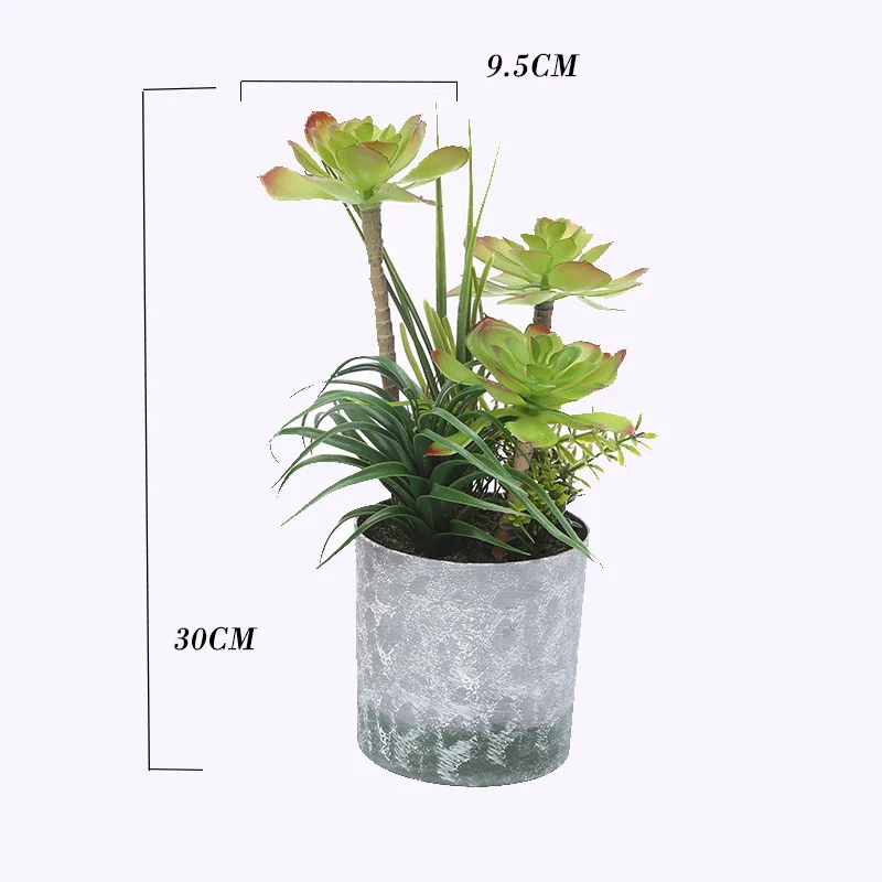 Image du produit 11