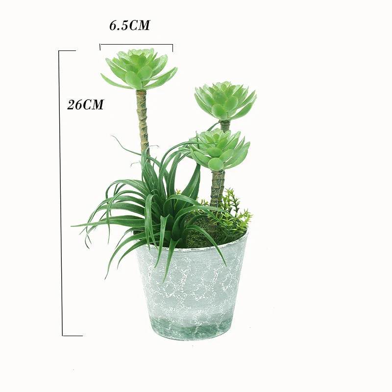 Image du produit 8