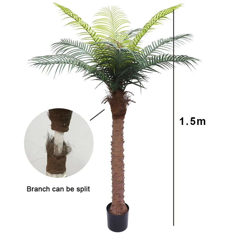 Image du produit 11