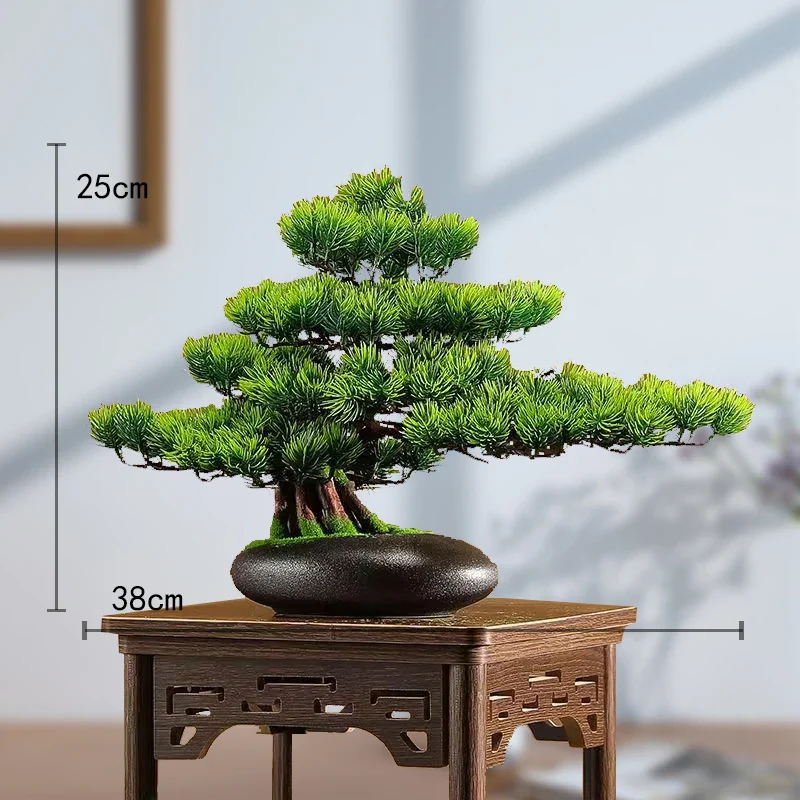 Image du produit 12