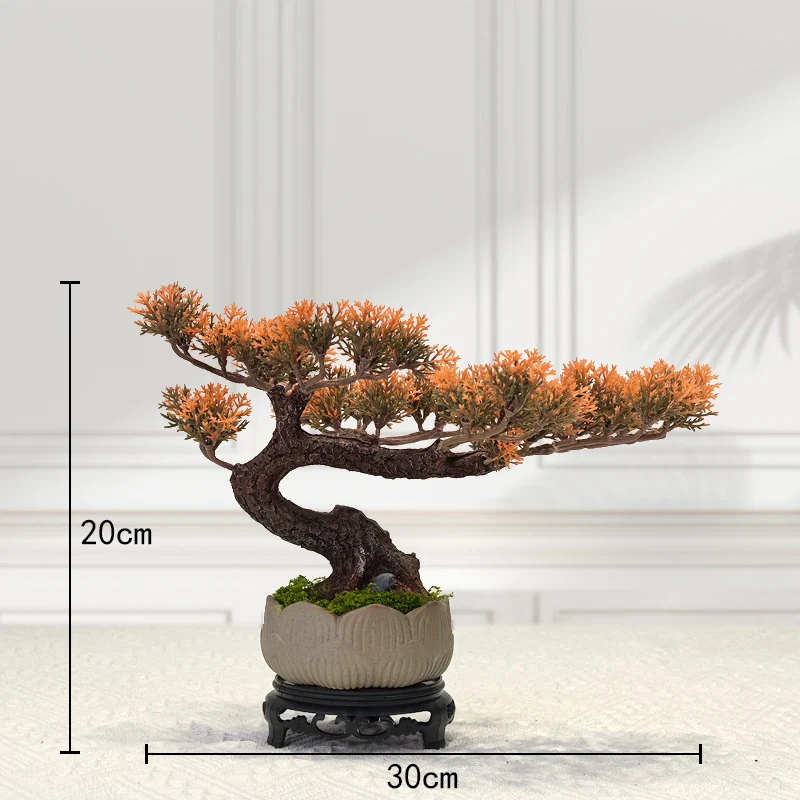 Image du produit 13