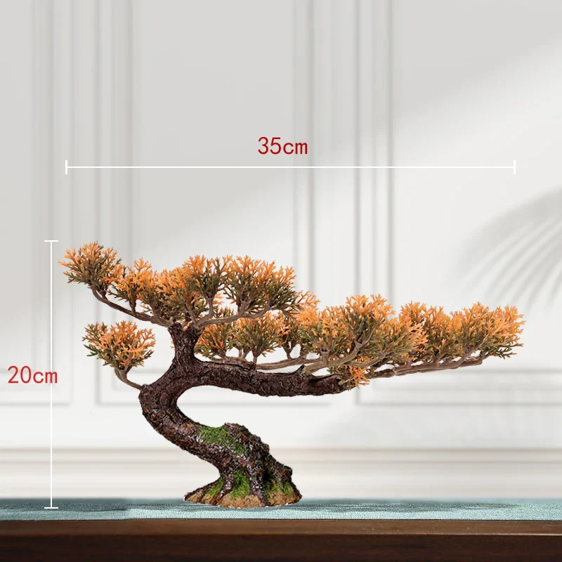 Image du produit 30