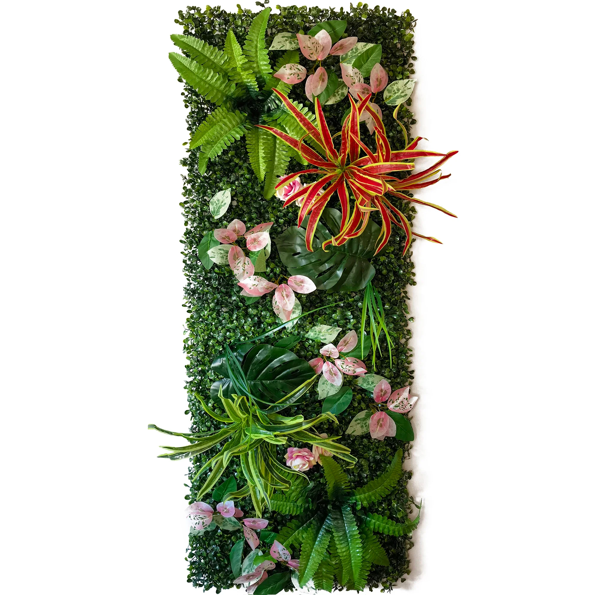 Image du produit 13