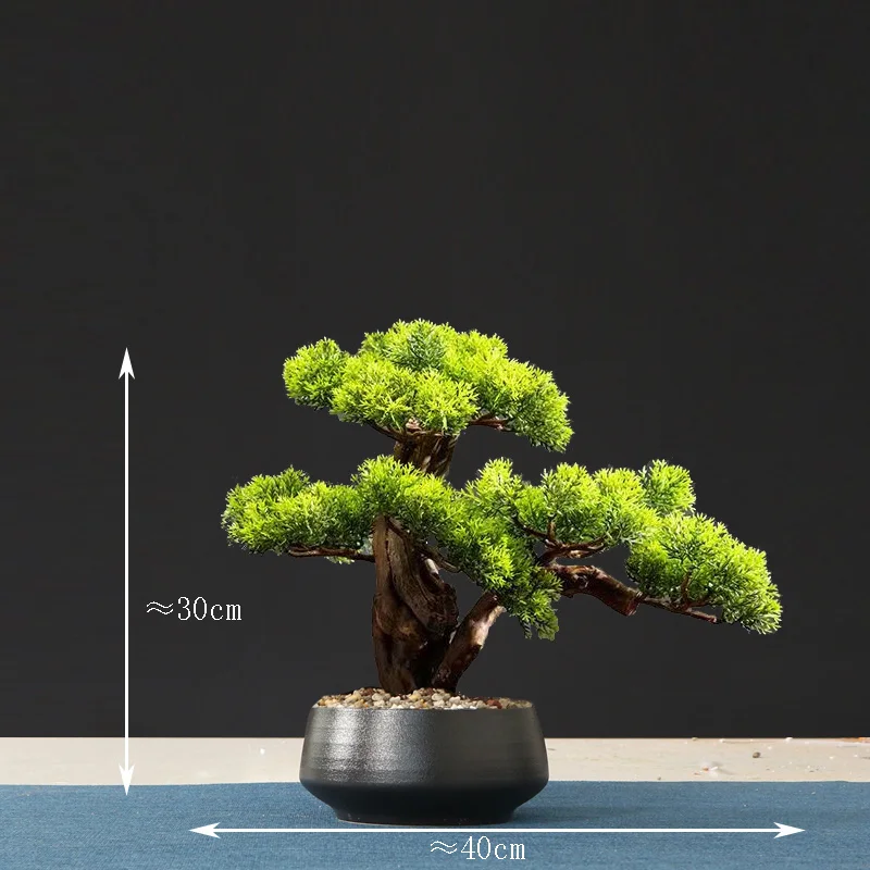 Image du produit 14