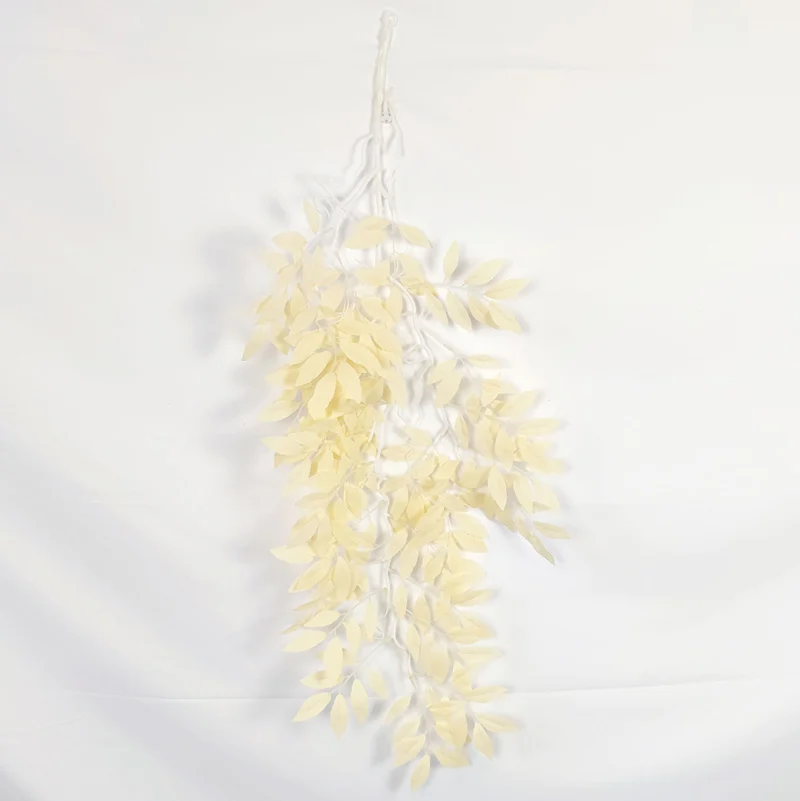 Image du produit 15