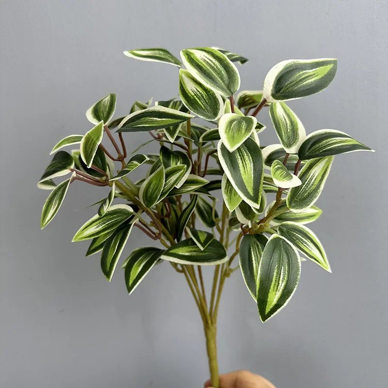 Image du produit 14