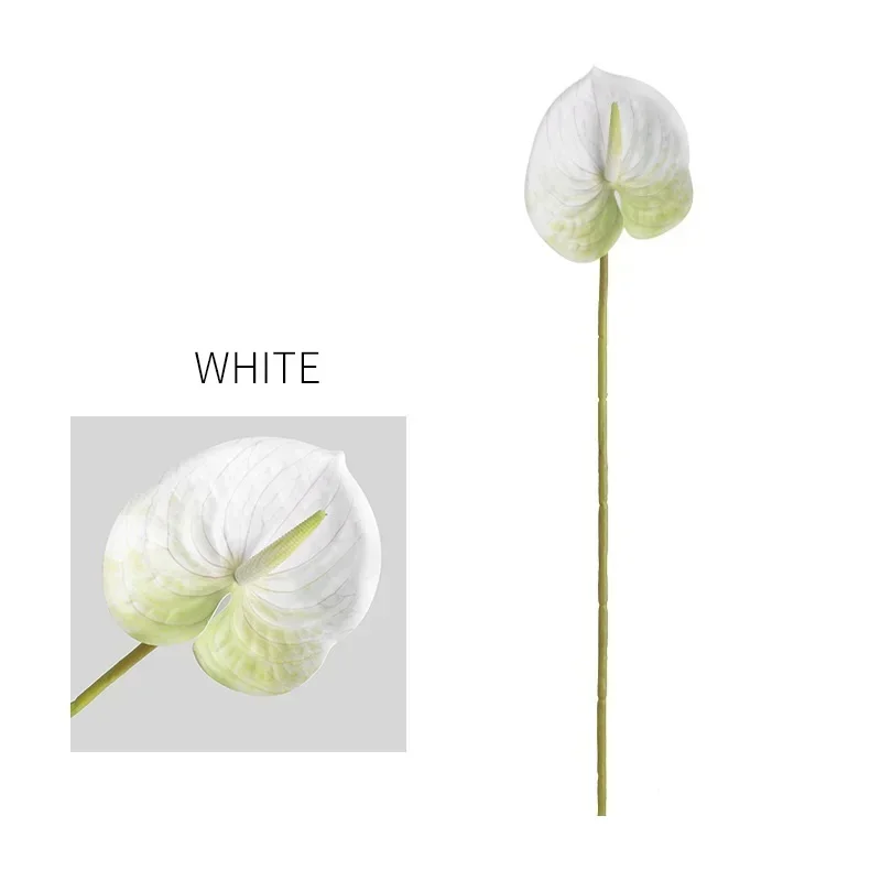 Image du produit 20