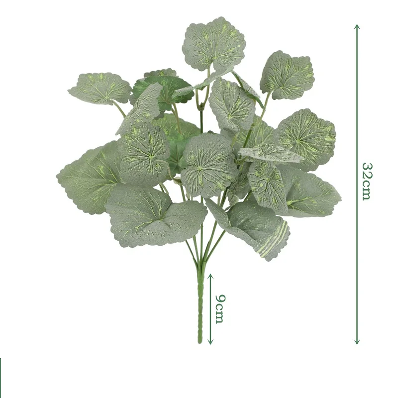 Image du produit 11