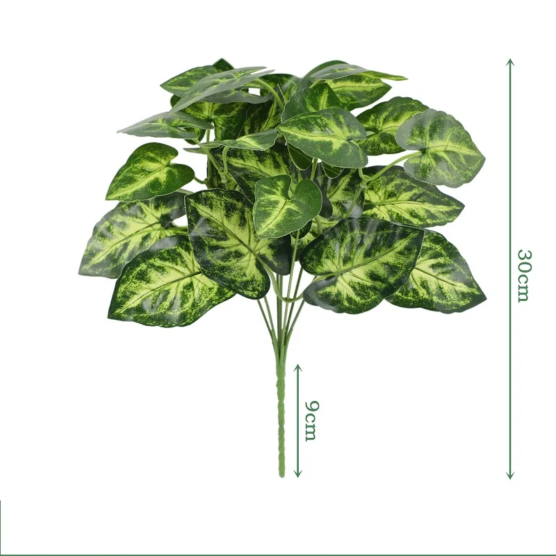 Image du produit 14