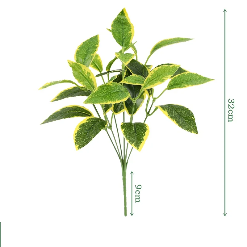 Image du produit 12