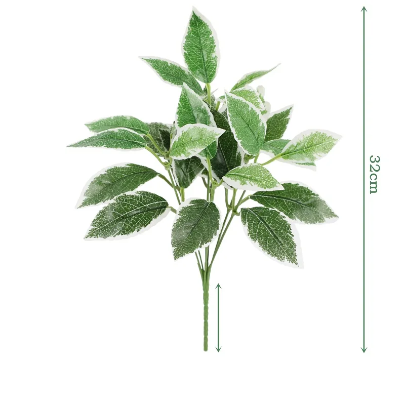 Image du produit 13