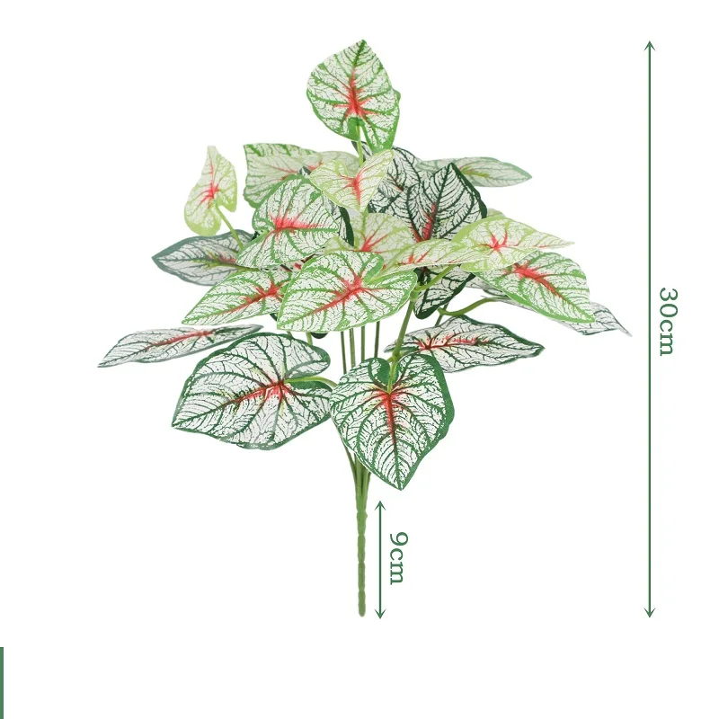 Image du produit 14
