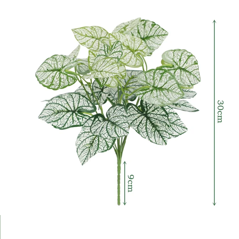 Image du produit 20