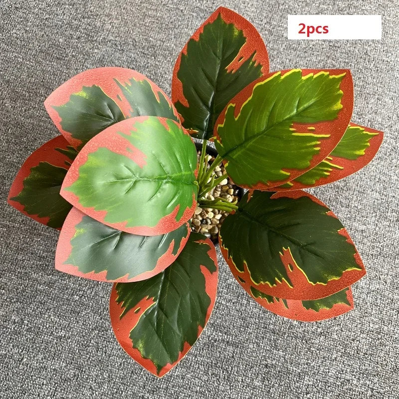 Image du produit 27