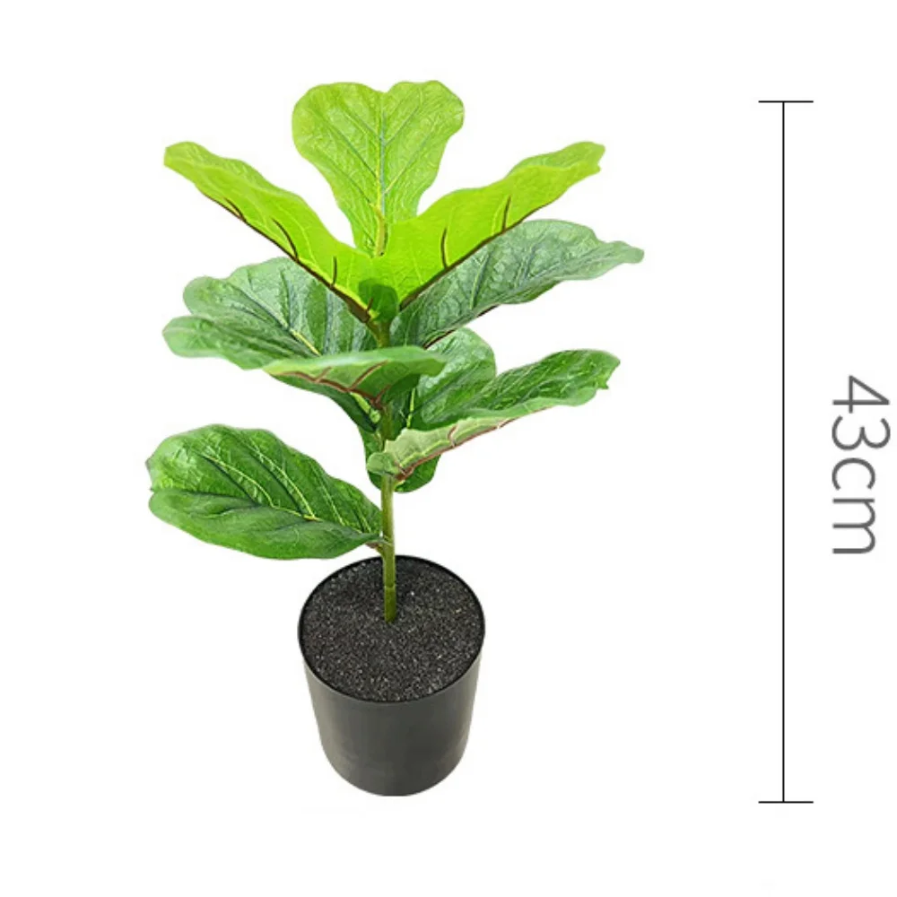 Image du produit 11