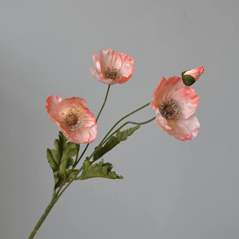 Image du produit 17