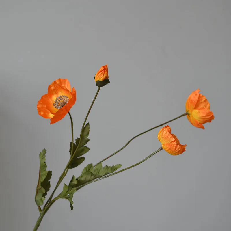 Image du produit 18