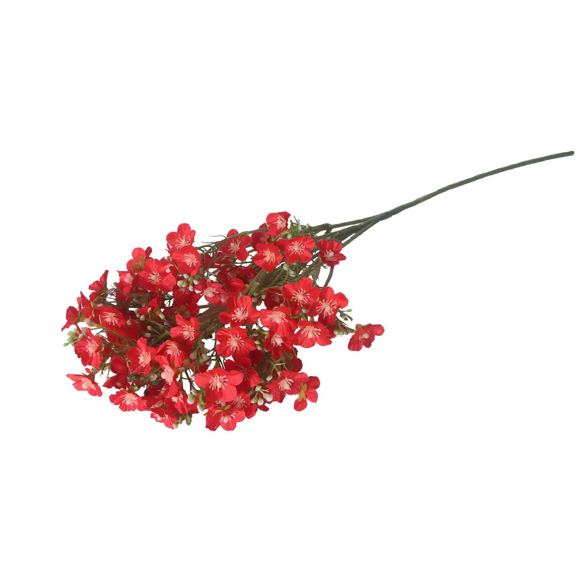 Image du produit 11
