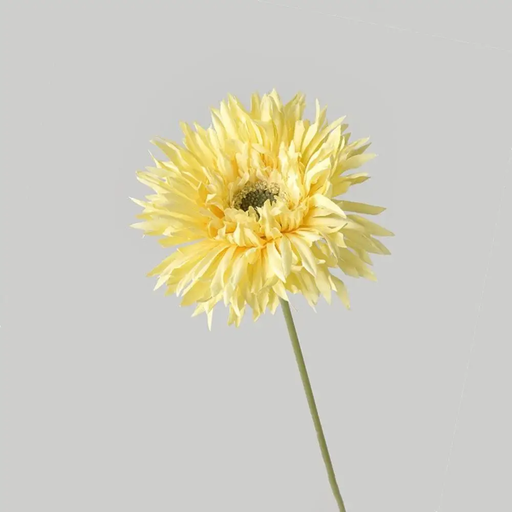 Image du produit 11