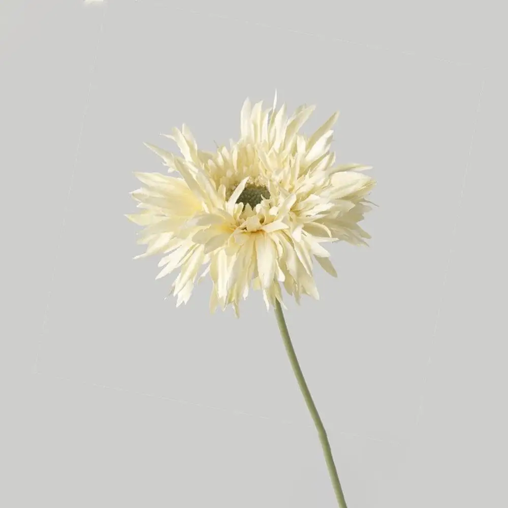 Image du produit 14