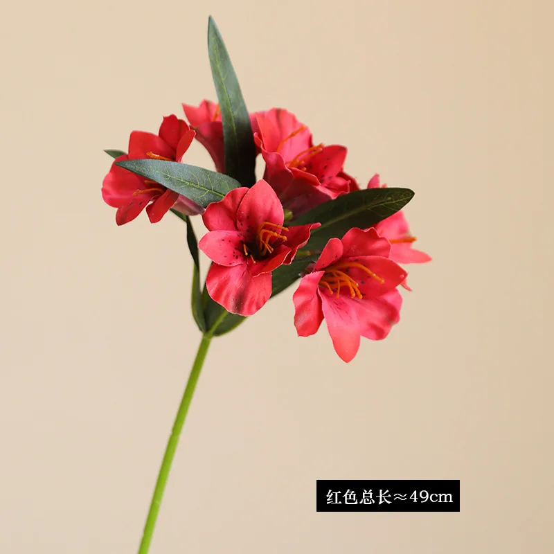 Image du produit 11