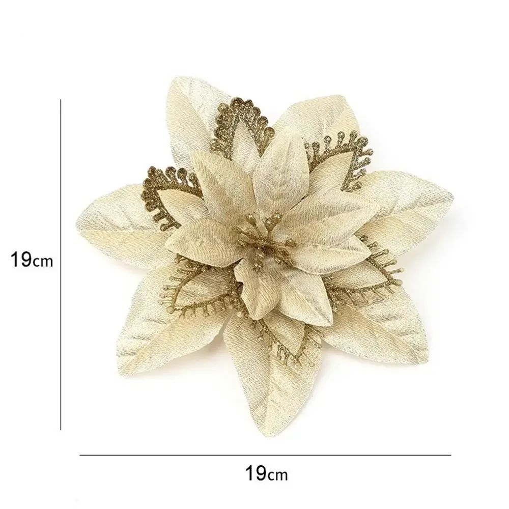 Image du produit 12