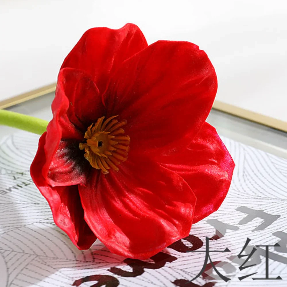 Image du produit 11