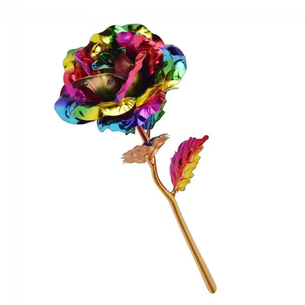 Image du produit 13