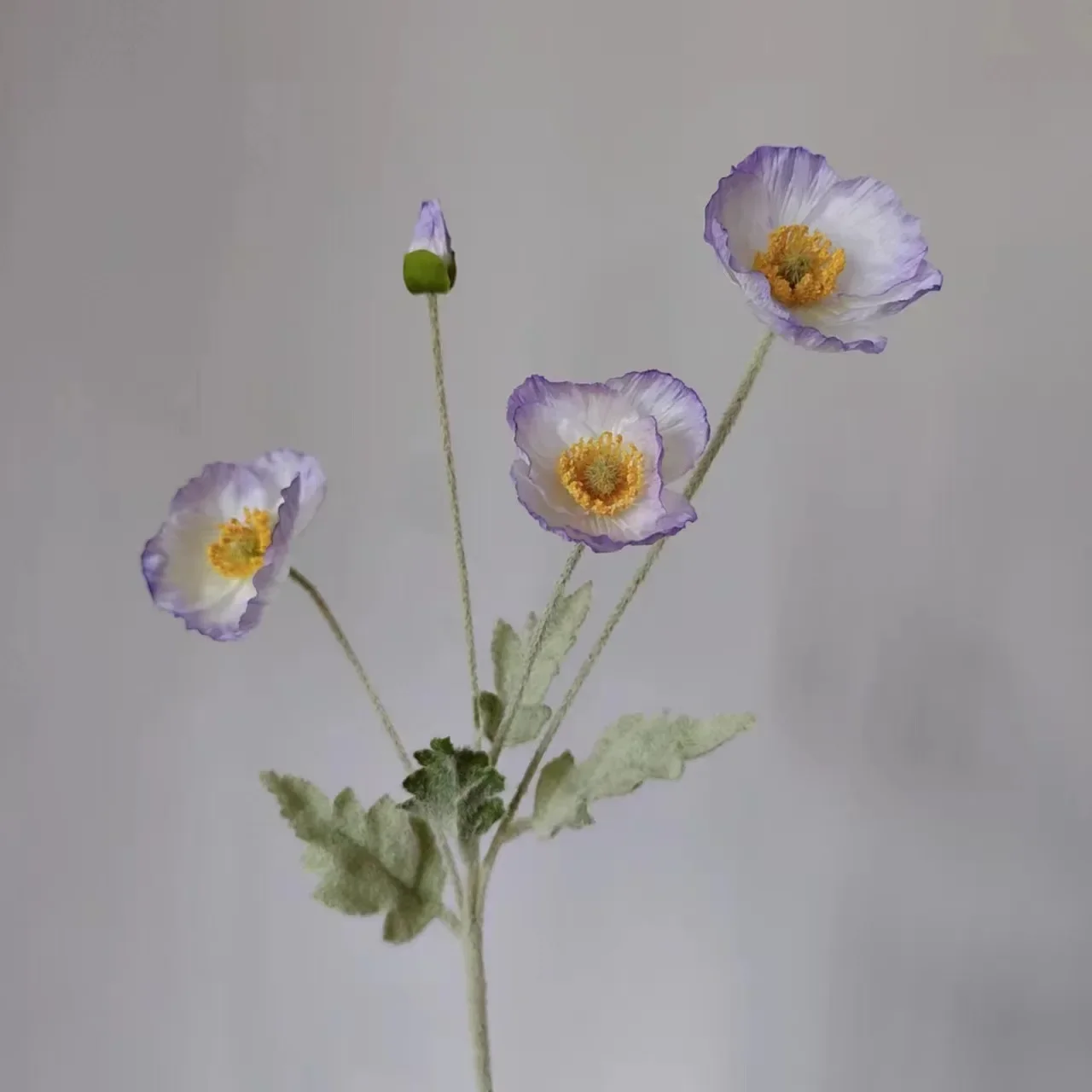 Image du produit 24