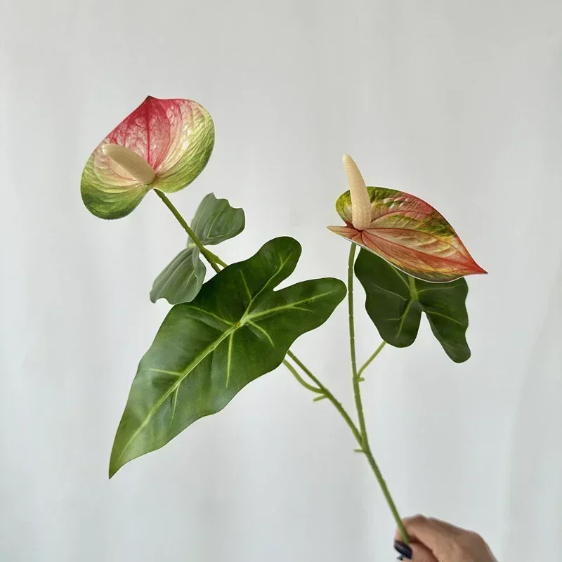 Image du produit 13