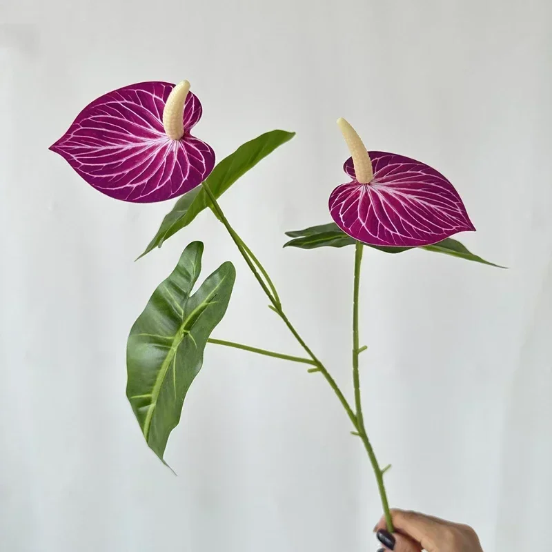 Image du produit 15