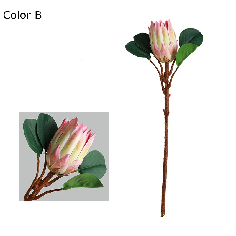 Image du produit 11