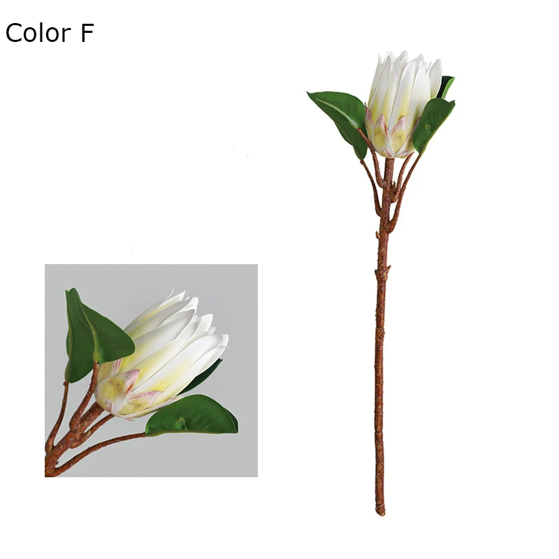 Image du produit 12