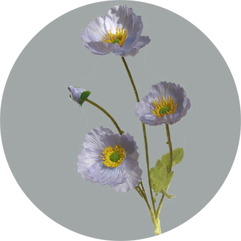 Image du produit 11