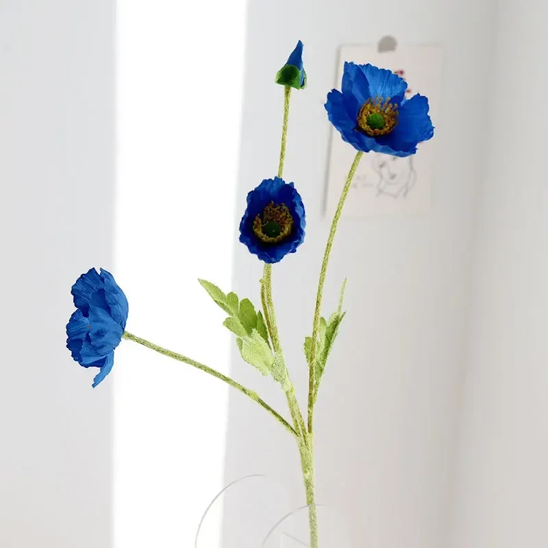 Image du produit 13