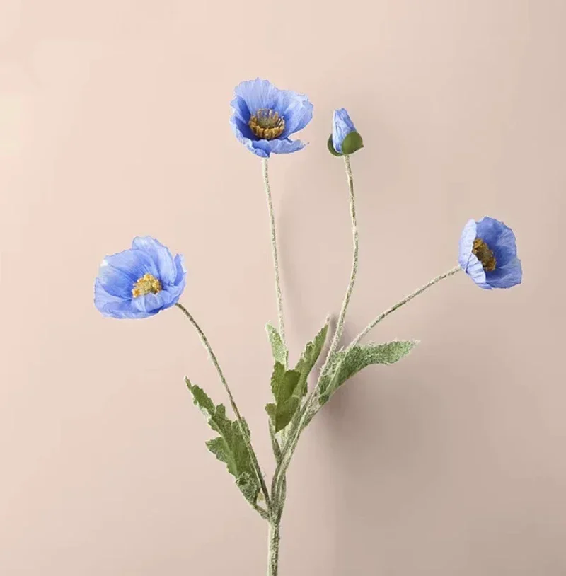 Image du produit 17