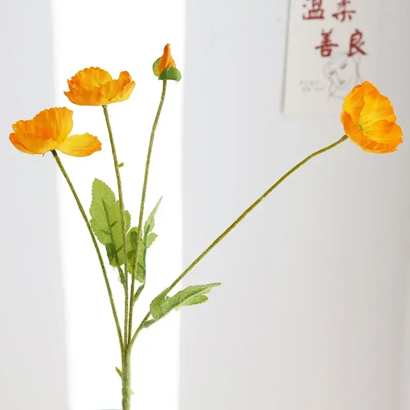 Image du produit 20